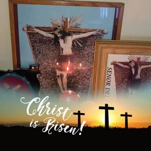 Meet your Posher, Pedro